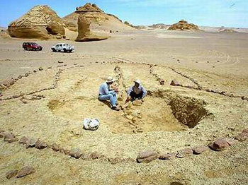 السياحة البيئية