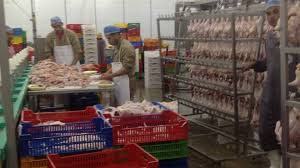 مجازر الدواجن