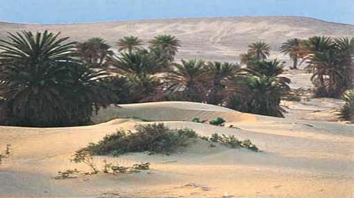 “تعمير سيناء” ينفذ مشروعات طرق لحل أزمة المرور فى منطقة القناة