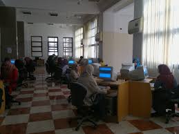 النظم الإلكترونية