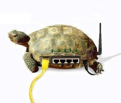 إنترنت السلاحف