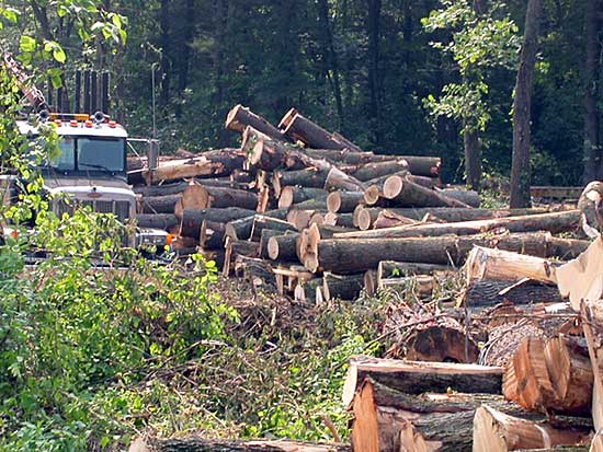 الموارد الطبيعية