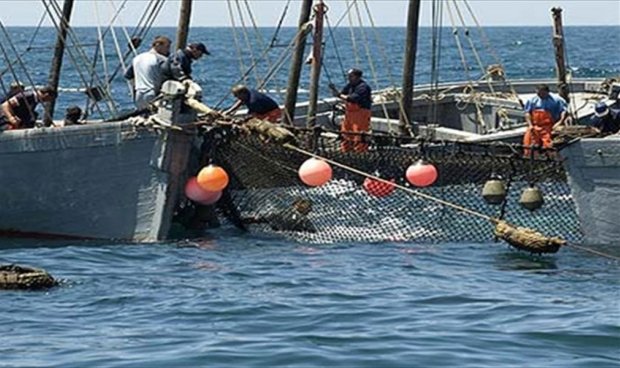 الصيادين المصريين