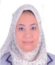 نائب رئيس وحدة إدارة الدين العام