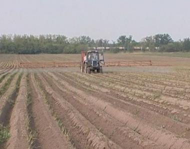 ترفيق الأراضى المستصلحة