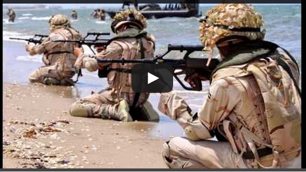 وزراء الخارجية العرب يعتمدون مشروع إنشاء قوى عربية مشتركة