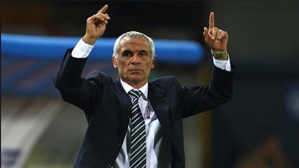 المدير الفني للمنتخب