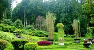 الحدائق النباتية