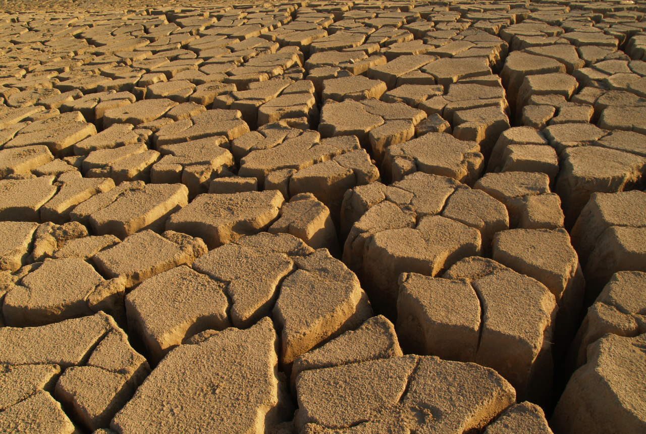 نقص المياه خطر يهدد العالم