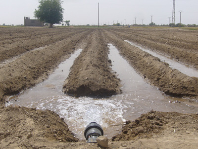 شبكات مياه الرى