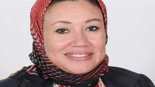 رئيس المجلس التخصصي للتنمية: التركيز على المشروعات التى تحقق التنمية الاقتصادية