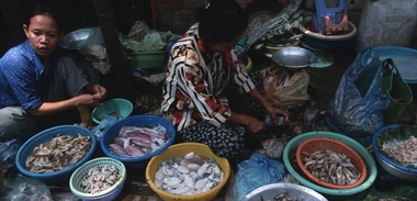 التسمم الغذائى