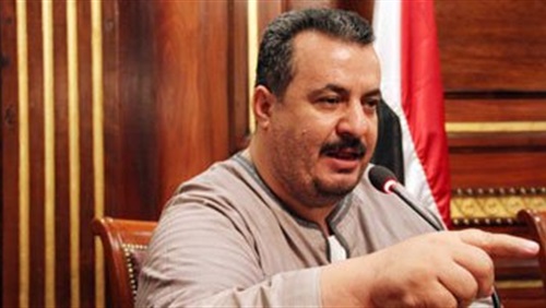 ممدوح حماده: قبول دعوى “بهاء سليم” شكلاً … وأثق فى نزاهة القضاء