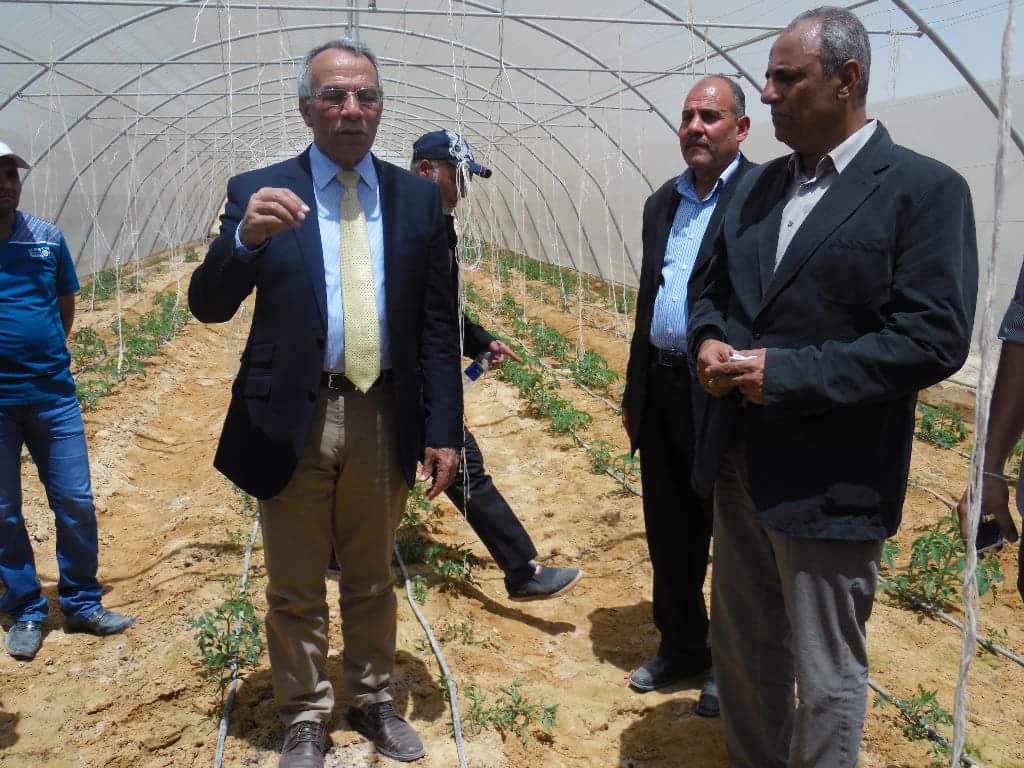 رئيس جهاز تعمير سيناء