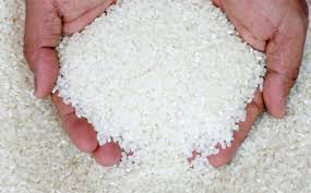 السبت.. مضارب قطاع الأعمال تبدأ توريد 17 ألف طن أرز تمويني