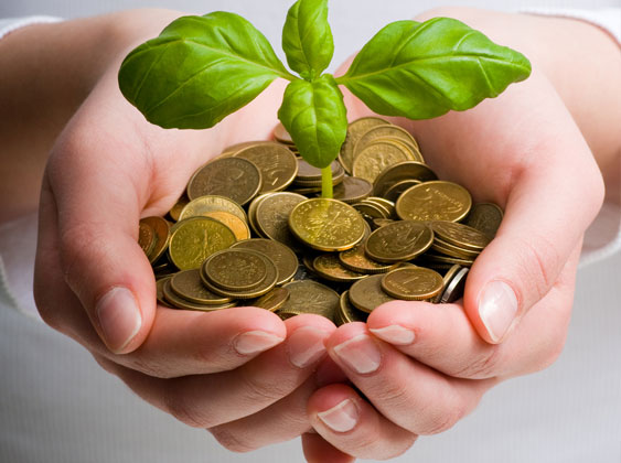 التمويل الجماعى