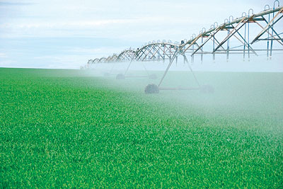 وزيرا الزراعة السعودى والسودانى يبحثان مجالات التعاون الثنائى