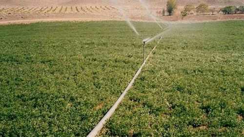 10ملايين جنيه لإقامة مشروعات تنموية وزراعية بالبحر الأحمر