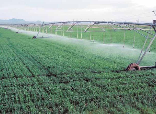 “الزراعة” تتعاقد مع ” وادى كوم امبو” لتنفيذ شبكات رى بقيمة 7.2 مليون جنيه