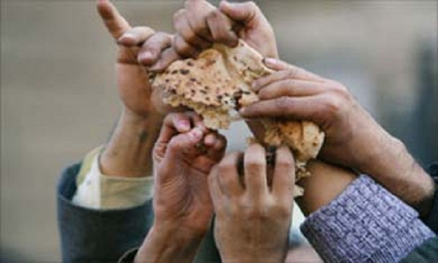 عدد الفقراء فى العالم, الجياع, الفاو