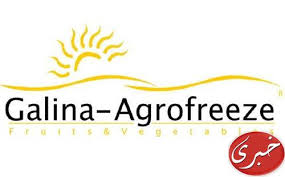 المصرية البريطانية للتنمية العامة - جالينا