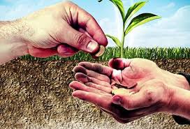 بيت الزكاة: 14 مليار جنيه قيمة الزكاة المستحقة علي المصريين وما يؤدي منها 6 إلي 8 مليارات فقط