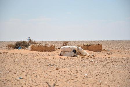 “الساحل الغربى” يطلب 400 مليون جنيه لتنفيذ المرحلة الأولى من طريق مطروح – سيوة