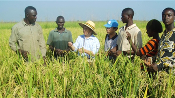 معرض نيجيري عالمي للأغذية الزراعية وتعبئتها