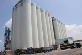 رصيد “صومعة القمح” ينخفض إلى 44 ألف طن نهاية الأسبوع الماضى