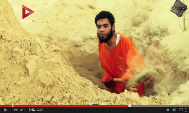 فيديو ولاية سيناء