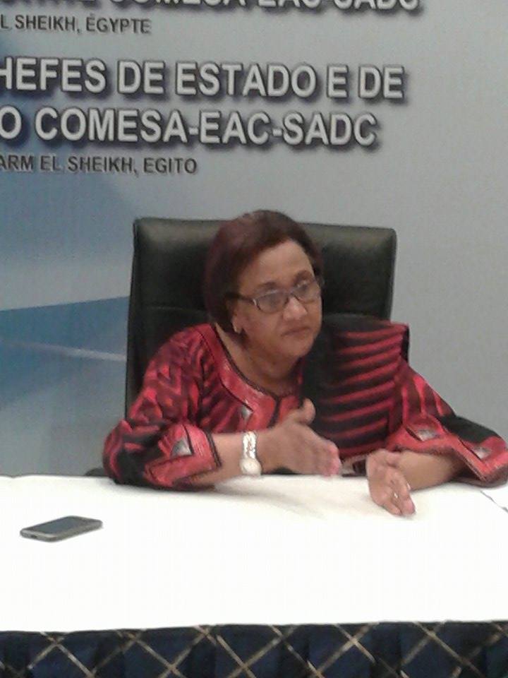 الساداك : اتفاقية التجارة الحرة تهدف الى تشجيع الصناعات التجميعية