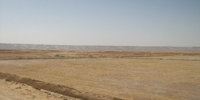 “سى تاوزر” تفوز بمزايدة 26.5 فدان بـ”السويس” مقابل 60 مليون جنيه 