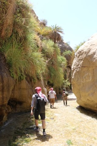  أجمل الوجهات السياحية سيراً على الأقدام