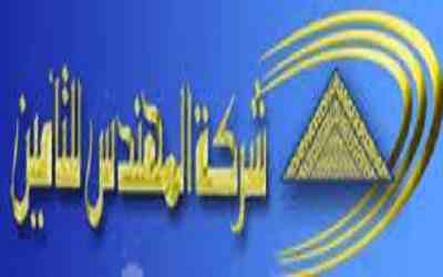 أرباح “المهندس للتامين” تقفز 67% لـ 25 مليون جنيه خلال عام 2014-2015