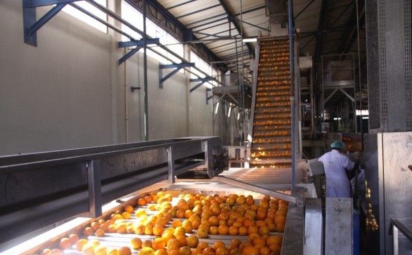 الحر عند شركات العصائر والمياه “فوائد”