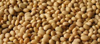 انهيار أسعار السلع يضرب سلاسل التوريد المحرك الرئيسى للتجارة