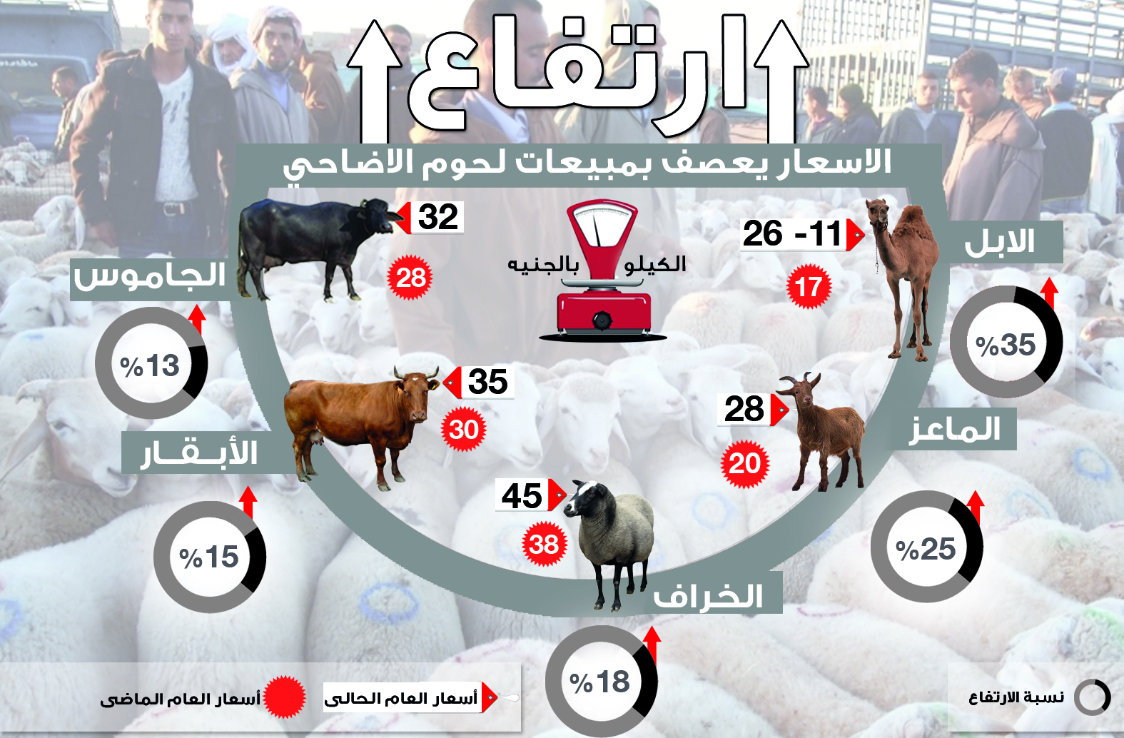 ارتفاع الأسعار يعصف بمبيعات “الأضاحى “