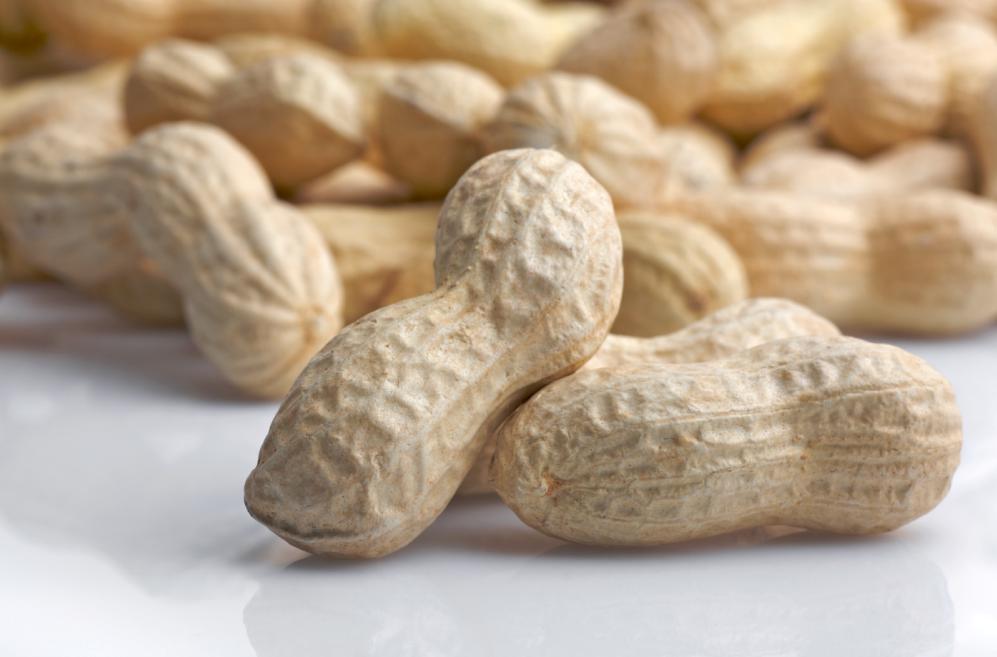 “التأمينات الهندسية” تستكمل النموذج الموحد لتقرير معاينة ما قبل الإصدار