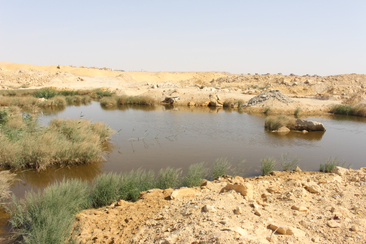 “البورصة” ترصد فى جولة ميدانية واقع “الألف مصنع”