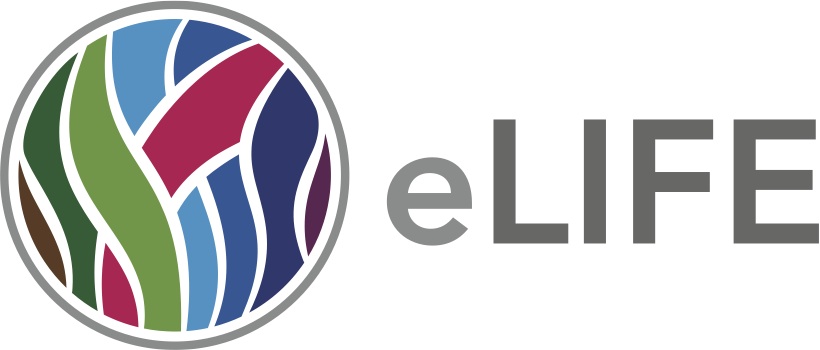 تعرف على هاتف “eLife S6” الجديد