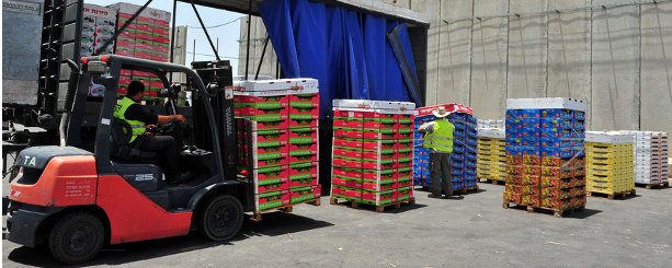 انفوجراف : أكبر 10 منتجات غذائية يتم تصديرها