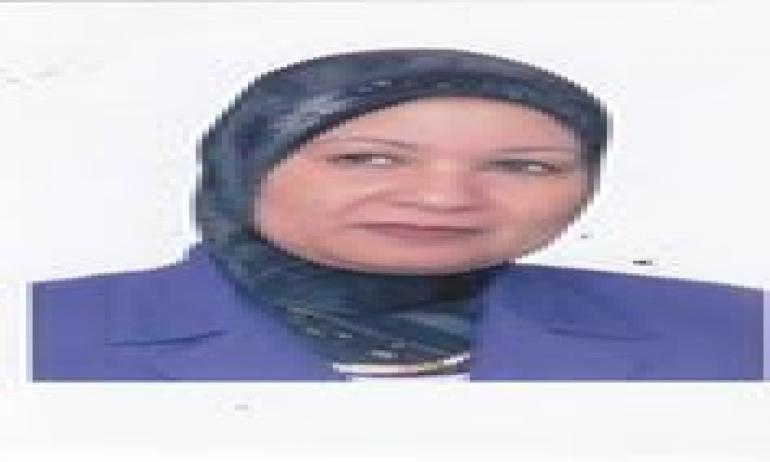 “تنمية التجارة” طرح 5 مناطق لوجيستية  بالمزاد العام المقبل