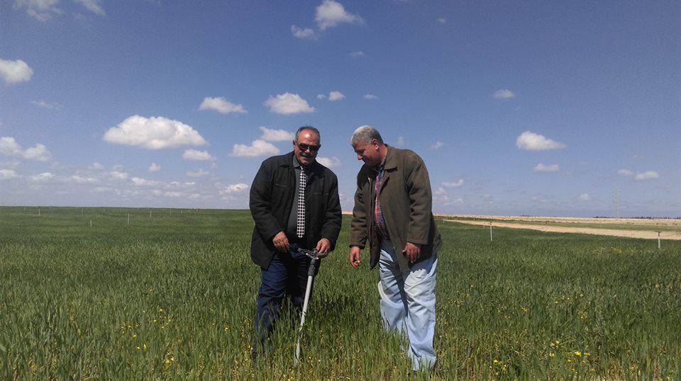 نعيم مصيلحى رئيس مركز بحوث الصحراء