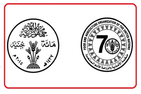 بالصور..اصدار عملات تذكارية معدنية فئة المائة والعشرة والخمسة جنيهات