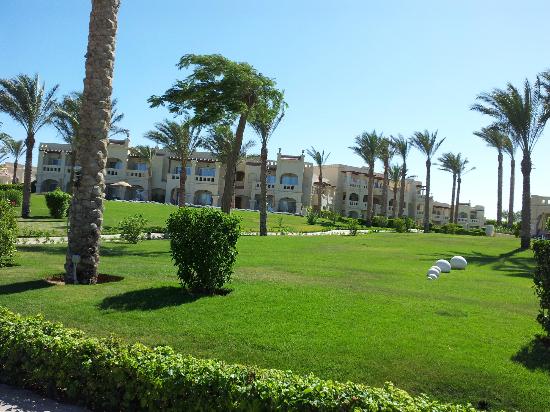 “النصر للأعمال المدنية” تعتزم تنفيذ مشروع “حدائق النصر” مطلع ديسمبر المقبل