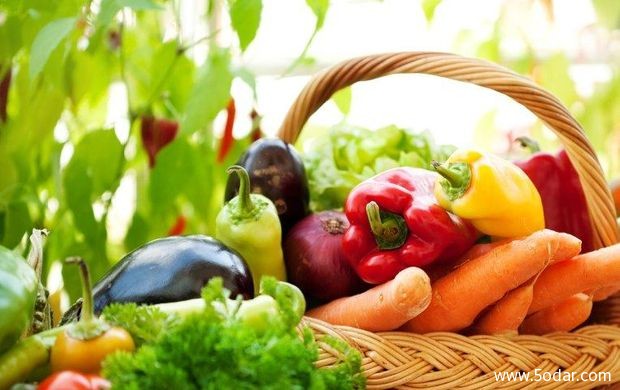 إزالة الحواجز مطلب الشركات الأساسي للاستحواذ على “القطاع الغذائي”