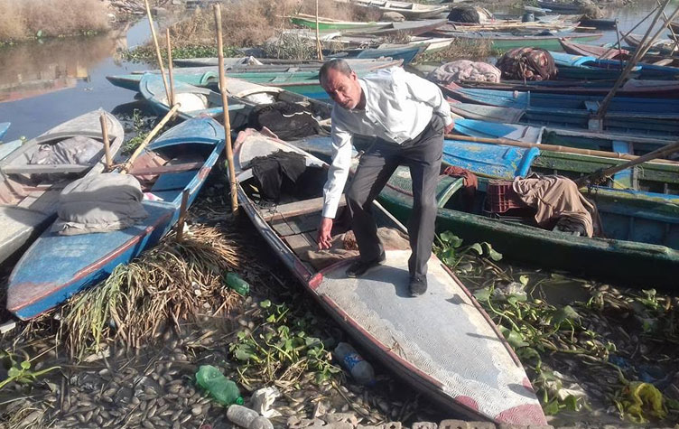 “الصحة” تحذر من أسماك بحيرة مريوط بالإسكندرية