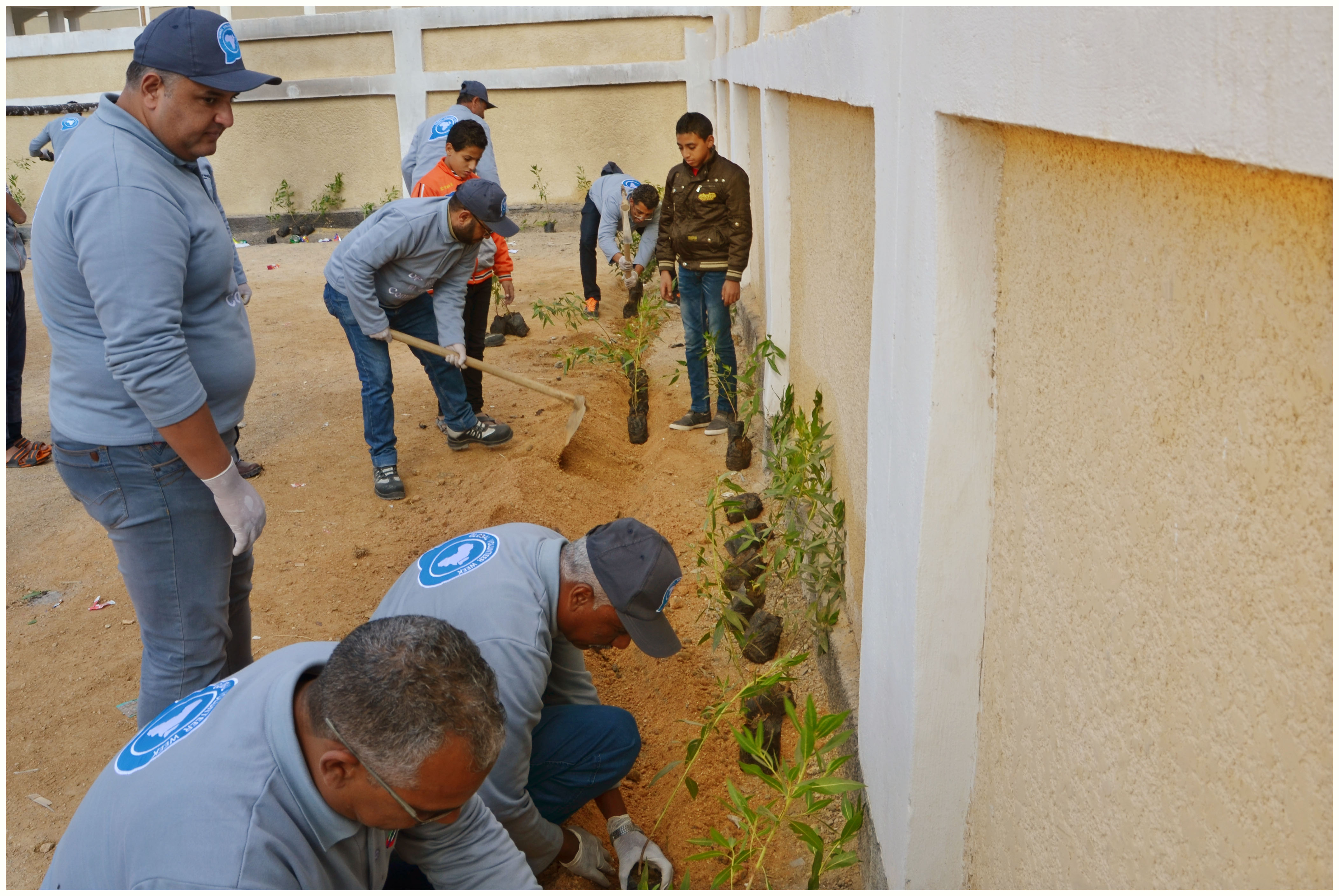 موانئ دبي العالمية السخنة تطور وتجمل مدرسة السادات بالسويس