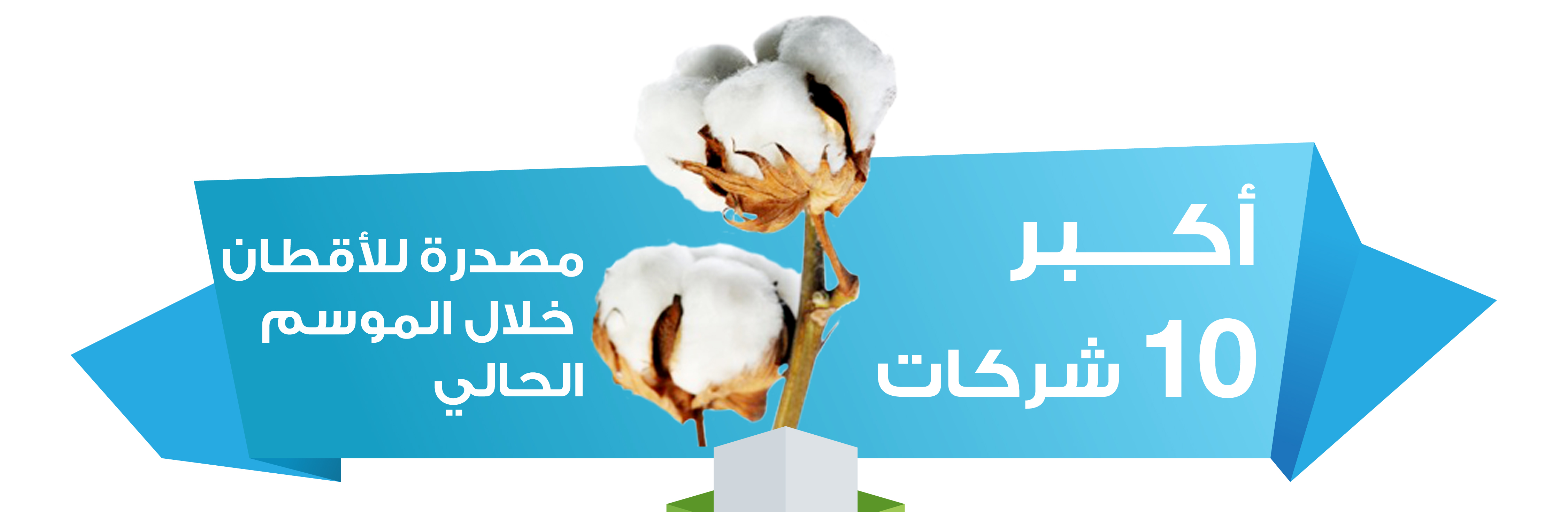 انفوجراف : أكبر 10 شركات مصدرة للقطن المصري