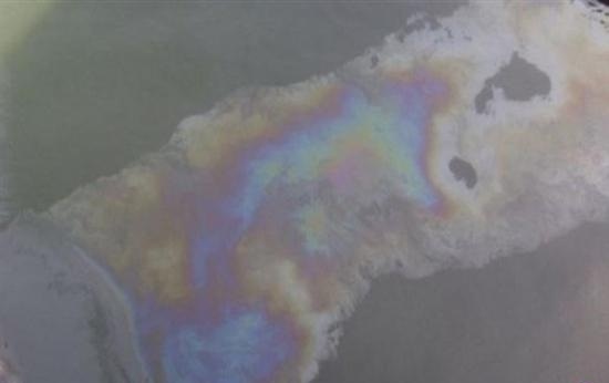 “البيئة” : بقعة سولار الاقصر خفيفة تم تشتيتها باللنشات